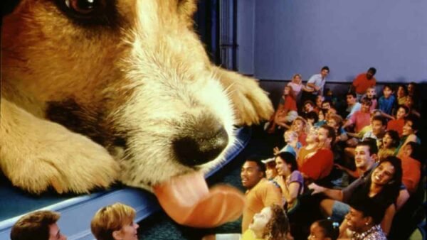 Un grand gros plan d'une tête de chien superposée au premier plan, la langue sortie, surplombant un public de cinéma composé de personnes diverses riant et appréciant "Chérie, j'ai rétré