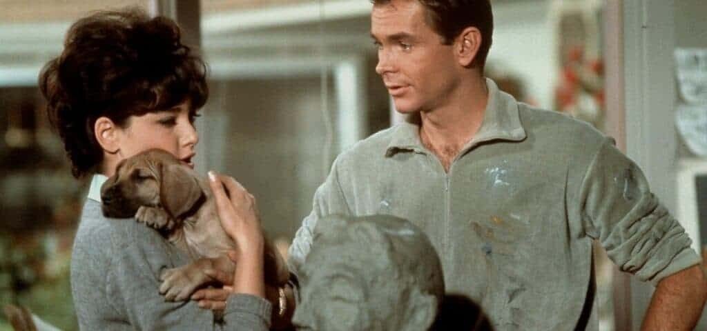 Un homme et une femme dans une cuisine, tous deux souriants et regardant affectueusement un petit chiot que tient la femme. La scène véhicule une atmosphère chaleureuse et domestique. La chemise de l'homme a