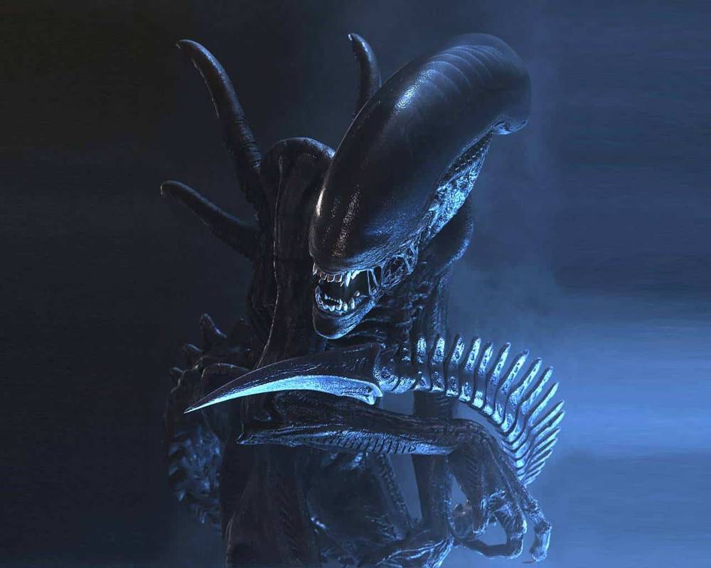 Un gros plan d'un xénomorphe de la franchise "Aliens le retour", mettant en valeur son exosquelette noir brillant et sa tête allongée et lisse dans un environnement faiblement éclairé et aux teintes bleues.