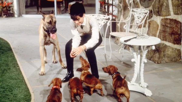 Une jeune femme en costume à carreaux est assise sur un banc blanc entourée d'un gros chien et de plusieurs petits chiots sur une terrasse carrelée, rappelant le film de Disney "Quatre Bassets pour un D