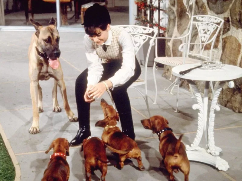Une jeune femme en costume à carreaux est assise sur un banc blanc entourée d'un gros chien et de plusieurs petits chiots sur une terrasse carrelée, rappelant le film de Disney "Quatre Bassets pour un D