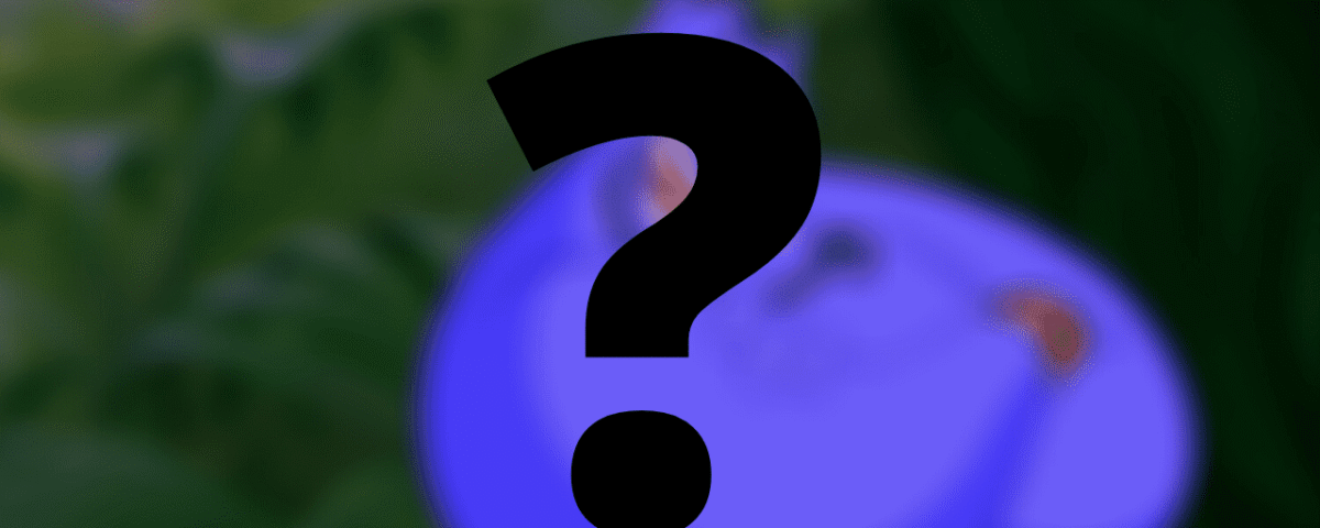 Un personnage de Disney avec un point d'interrogation flou en arrière-plan.