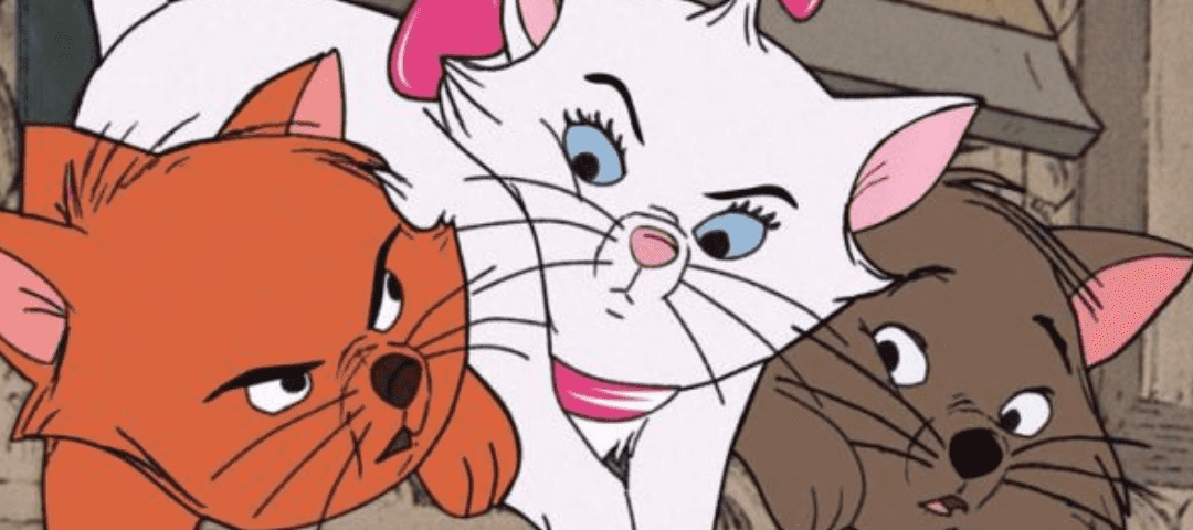 Trois chats animés, un blanc avec un nœud rose au centre, flanqués d'un chat orange grincheux et d'un chat marron inquiet, marchant côte à côte.