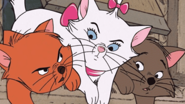 Trois chats animés, un blanc avec un nœud rose au centre, flanqués d'un chat orange grincheux et d'un chat marron inquiet, marchant côte à côte.