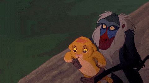 Image animée de "Le Roi Lion" montrant Rafiki soulevant un jeune Simba sur Pride Rock, sur un fond vert pittoresque. Cette scène charnière signifie la présentation de Simba au règne animal.