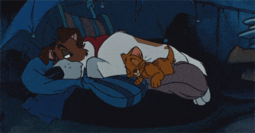 Un gif d'un chien et d'un chaton de dessin animé dormant ensemble pendant que des chansons Disney jouent en arrière-plan ; le chien est un grand personnage marron portant une chemise rouge et un pantalon bleu, et le chaton est petit et orange