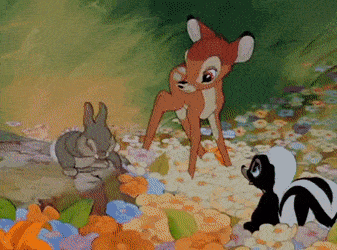 Image animée du film classique « Bambi », avec Bambi regardant curieusement Panpan tandis que Flower regarde depuis un parterre de fleurs coloré.