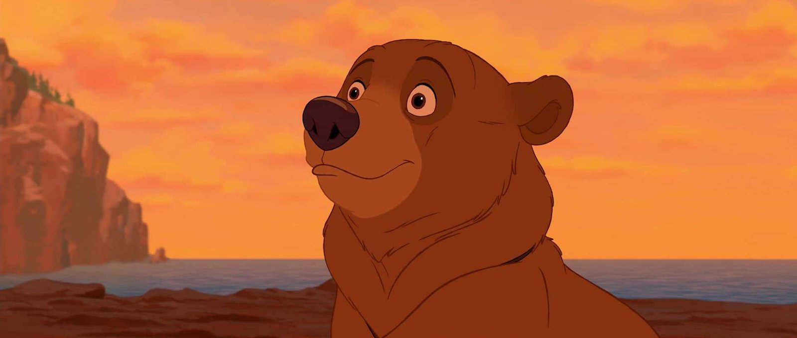 Image animée d'un ours brun avec une expression surprise, sur un coucher de soleil vibrant avec un ciel orange et des personnages Disney se découpant sur les falaises en arrière-plan.
