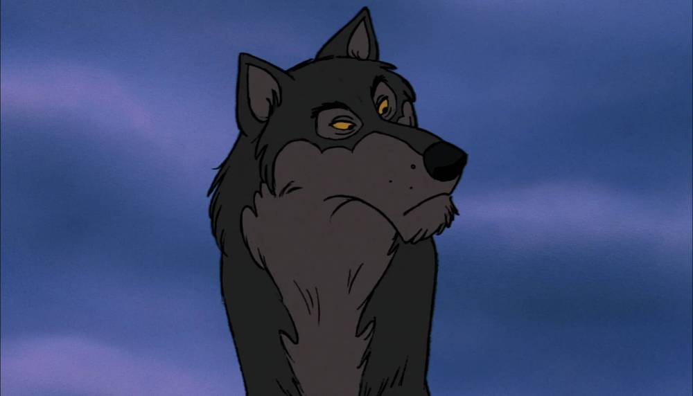 Image animée d'un loup gris aux yeux jaunes, inspiré du "Livre de la Jungle", sur un ciel crépusculaire aux nuances de bleu et de violet, regardant sur le côté avec un regard contemplatif