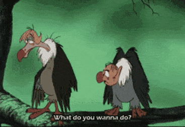 Gif animé du "Livre de la Jungle" montrant deux vautours avec une légende qui dit : "Qu'est-ce que tu veux faire ?" alors qu'ils discutent dans un décor de jungle.
