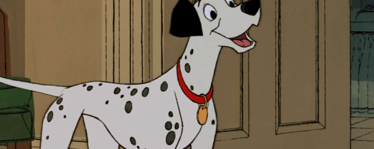 Un dalmatien du film "101 Dalmatiens" avec un collier rouge et une étiquette dorée se tient dans une pièce, regardant par-dessus son épaule avec une expression excitée.