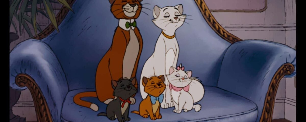 Cinq chats animés sur un canapé bleu ; un grand chat mâle orange, une chatte blanche mince et trois chatons : un gris, un orange et un blanc avec un arc.