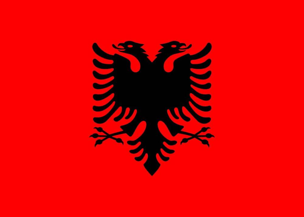 Un audacieux aigle noir à deux têtes centré sur un fond rouge vif, symbolisant le drapeau national de l'Albanie, rappelant le personnage de Disney.