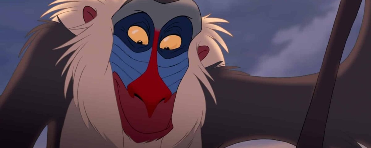 Gros plan de Rafiki, le mandrill sage du "Roi Lion", film emblématique des années 90, avec un doux sourire sur fond de ciel coucher de soleil.
