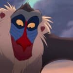 Gros plan de Rafiki, le mandrill sage du "Roi Lion", film emblématique des années 90, avec un doux sourire sur fond de ciel coucher de soleil.