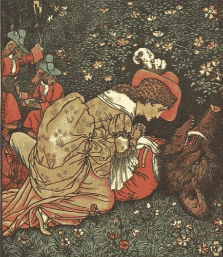 image 24