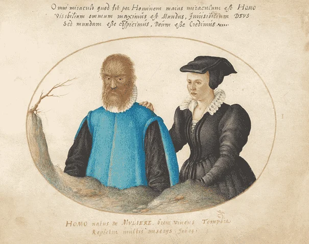 image 25