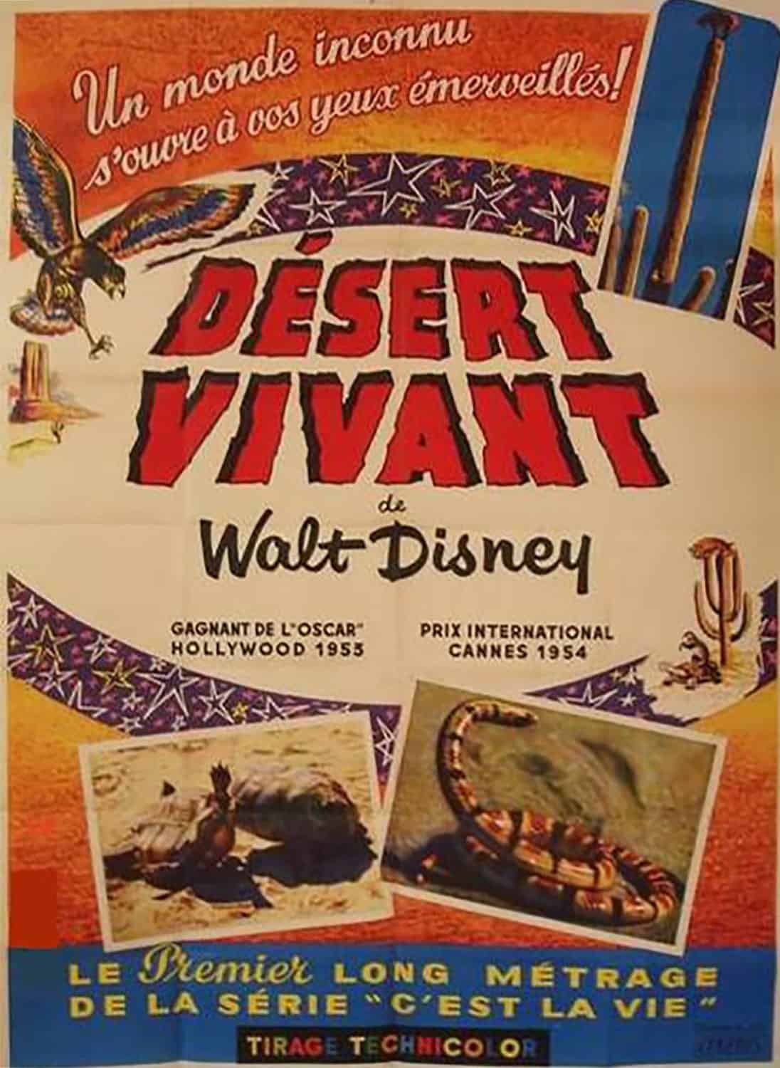 Affiche française vintage pour "Désert Vivant" de Walt Disney, avec un texte rouge en gras, des images d'un lézard et d'oiseaux et des illustrations décoratives de cactus. Il met en lumière l'Oscar remporté par le film et