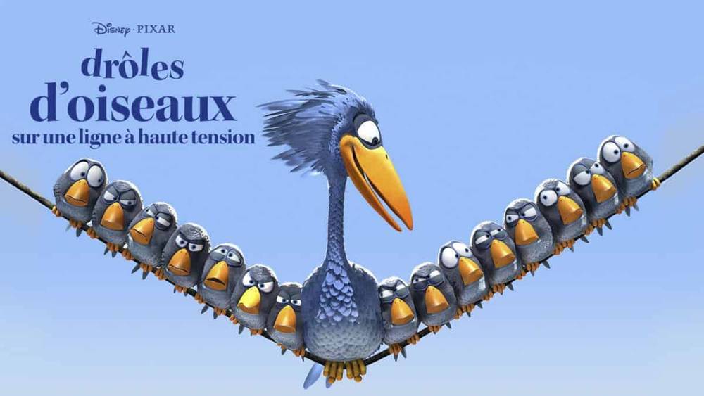 Une image de Pixar représentant un grand oiseau bleu à l'air amusé en équilibre sur une ligne électrique, flanqué de plusieurs petits oiseaux gris disposés symétriquement sous le titre "Drôles d'oise".
