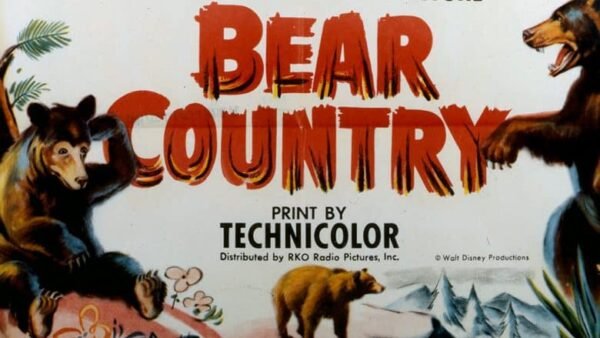 Affiche de film vintage intitulée "Au pays des ours" présentant des illustrations vives d'ours dans des poses dynamiques, avec un texte rouge en gras et un logo indiquant Technicolor et Walt Disney Productions.