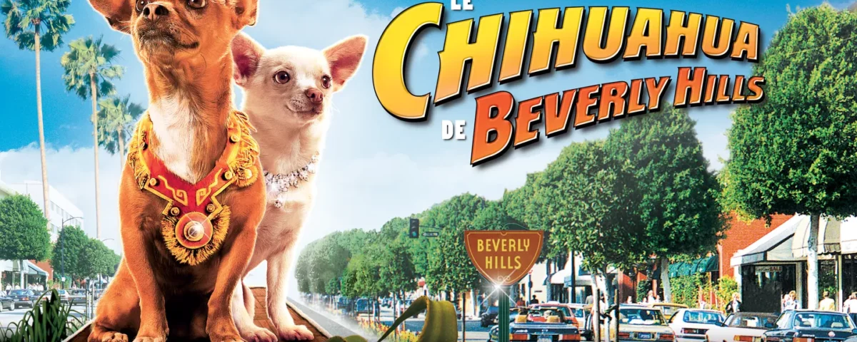 Affiche promotionnelle du film "Le Chihuahua de Beverly Hills" mettant en scène deux chihuahuas au premier plan, avec en arrière-plan une scène de rue animée de Beverly Hills.