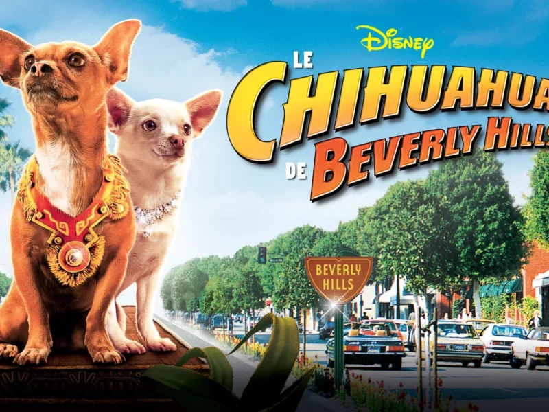 Affiche promotionnelle du film "Le Chihuahua de Beverly Hills" mettant en scène deux chihuahuas au premier plan, avec en arrière-plan une scène de rue animée de Beverly Hills.