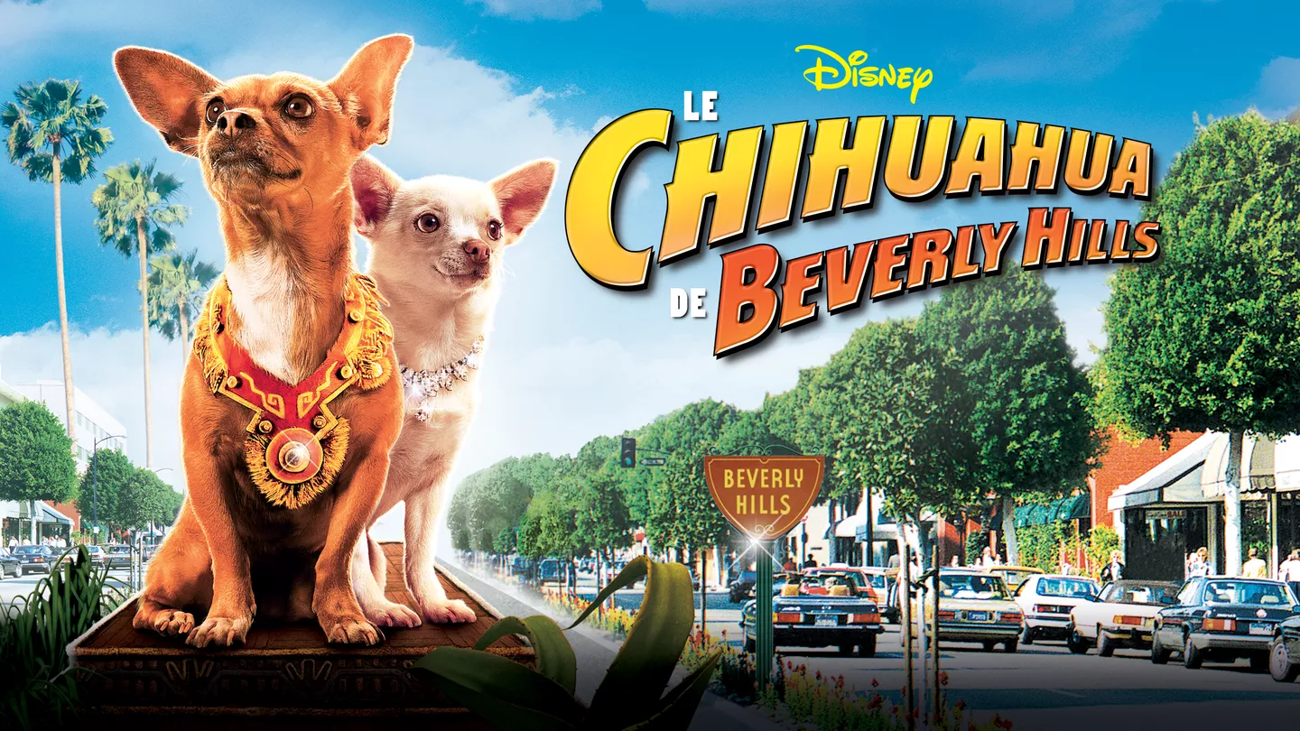 Affiche promotionnelle du film "Le Chihuahua de Beverly Hills" mettant en scène deux chihuahuas au premier plan, avec en arrière-plan une scène de rue animée de Beverly Hills.