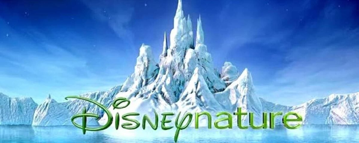 Un paysage numérique serein présentant une imposante montagne couverte de glace entourée d'eau avec des morceaux de glace flottants. Le logo « Disneynature » est affiché bien en évidence dans une police de caractères verte en bas.