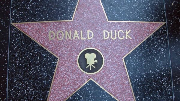Une étoile sur le Walk of Fame dédiée à Donald Duck, avec son nom et une image en silhouette dorée sur fond moucheté rouge et noir.