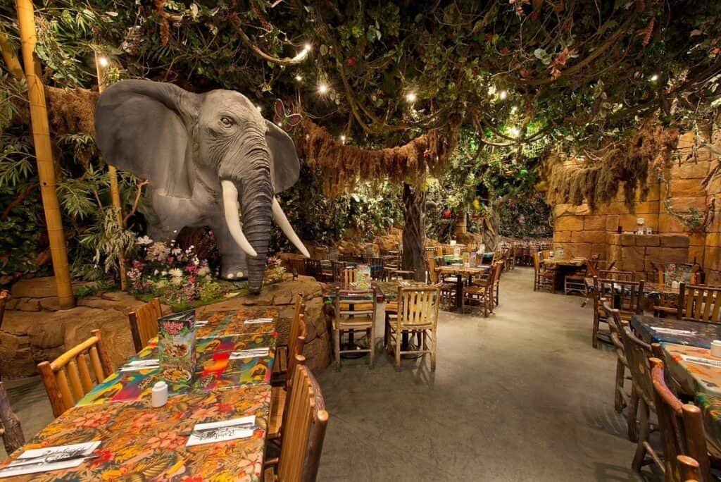 Rainforest Cafe Disney Village 12