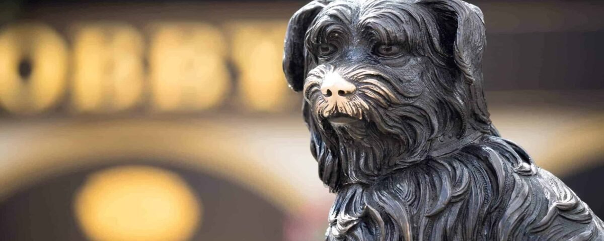 Une statue en bronze de Bobby, le chien de Greyfriars, avec une fourrure détaillée et texturée, tournée vers la gauche avec un arrière-plan flou comportant des lettres dorées doucement éclairées.