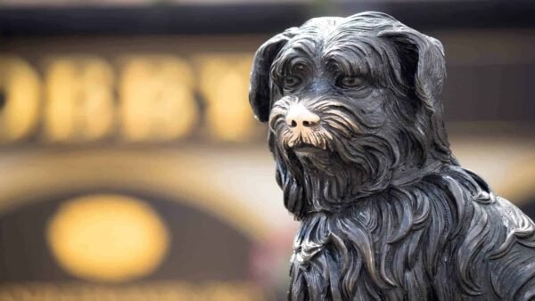 Une statue en bronze de Bobby, le chien de Greyfriars, avec une fourrure détaillée et texturée, tournée vers la gauche avec un arrière-plan flou comportant des lettres dorées doucement éclairées.