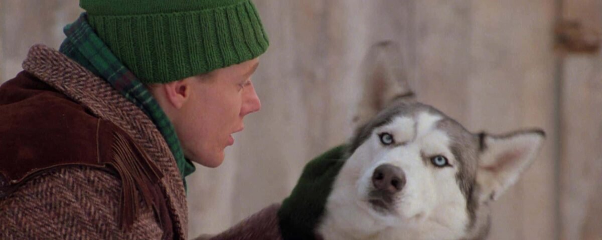 Un homme portant un bonnet vert et une veste marron converse étroitement avec un husky portant un collier rouge, tous deux debout sur fond de l'enfer blanc. Le husky a l'air amusé avec un sourcil levé