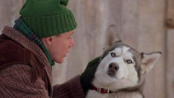 Un homme portant un bonnet vert et une veste marron converse étroitement avec un husky portant un collier rouge, tous deux debout sur fond de l'enfer blanc. Le husky a l'air amusé avec un sourcil levé