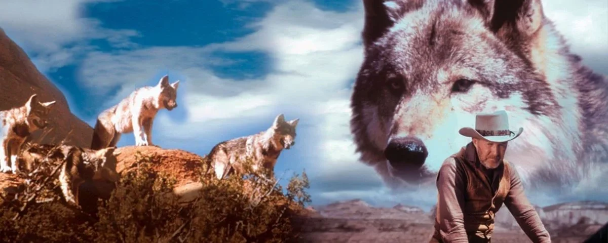 Une image composite représentant des loups réalistes sur un paysage rocheux et la tête fantomatique d'un loup plus grand, intitulée "La légende de Lobo", avec un cow-boy montant à cheval au premier plan sur un fond