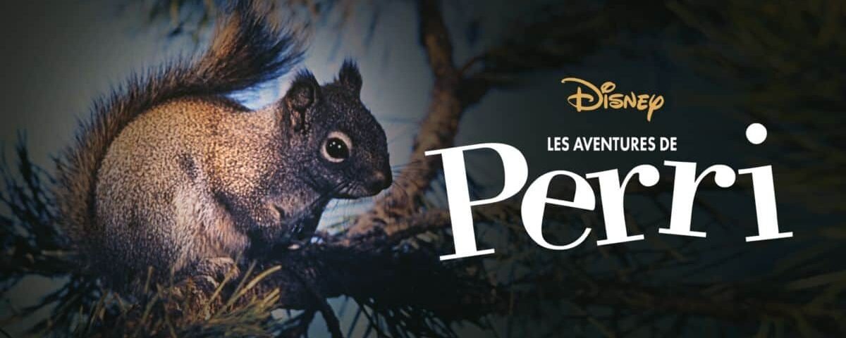 Image promotionnelle mettant en vedette Perri l'écureuil perché sur une branche de pin avec le titre « Les Aventures de Perri » et le logo Disney affiché dans le coin inférieur gauche.