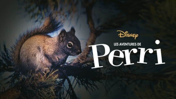 Image promotionnelle mettant en vedette Perri l'écureuil perché sur une branche de pin avec le titre « Les Aventures de Perri » et le logo Disney affiché dans le coin inférieur gauche.