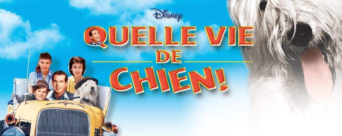 Affiche promotionnelle du film Disney "Quelle Vie de Chien !" avec un grand chien blanc et pelucheux au premier plan, avec trois personnes dans une voiture vintage sous un ciel bleu vif en arrière-plan