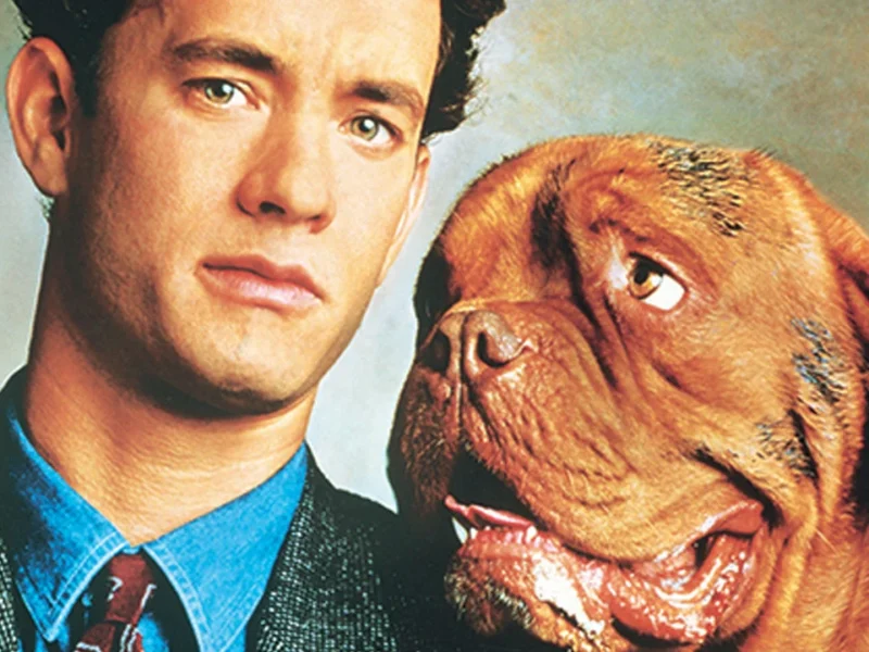 Un homme en costume-cravate debout à côté d'un gros chien brun rappelant Turner et Hooch, tous deux regardant vers la caméra, exprimant un air quelque peu perplexe.