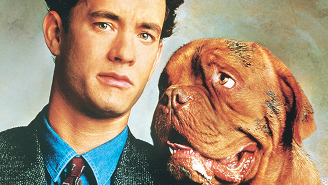 Un homme en costume-cravate debout à côté d'un gros chien brun rappelant Turner et Hooch, tous deux regardant vers la caméra, exprimant un air quelque peu perplexe.