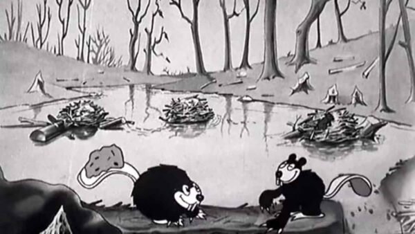 Illustration en noir et blanc de deux castors de dessins animés debout près d'un étang entouré d'arbres dénudés et de branches tombées, évoquant une scène d'automne. Un castor fait des gestes animés pendant que l'autre écoute