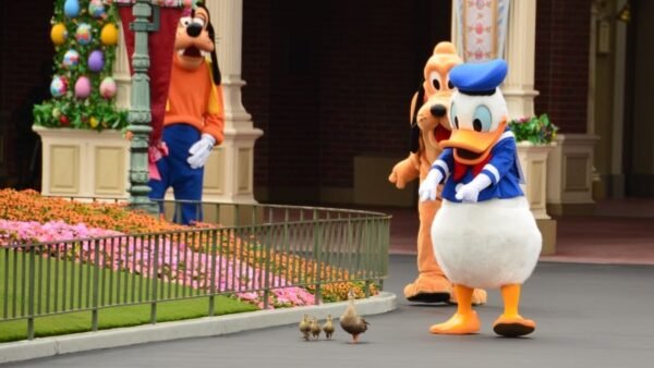 Donald Duck, Dingo et Pluto interagissent avec deux petits canards sur un chemin dans un parc à thème, entouré de fleurs colorées et de décorations festives.
