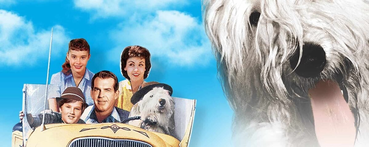 Graphique promotionnel pour "Les Aventures de Rin Tin Tin" de Disney représentant une voiture ancienne avec quatre personnages, deux adultes et deux enfants, ainsi qu'un grand gros plan d'un chien hirsute sur