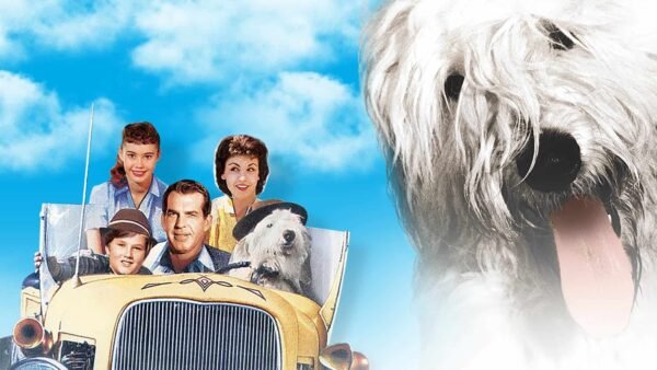 Graphique promotionnel pour "Les Aventures de Rin Tin Tin" de Disney représentant une voiture ancienne avec quatre personnages, deux adultes et deux enfants, ainsi qu'un grand gros plan d'un chien hirsute sur
