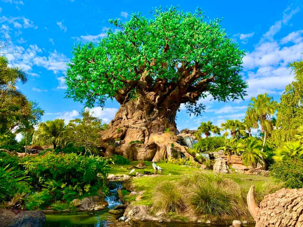 Le plus grand parc Disney, Walt Disney World, abrite l'emblématique Arbre de Vie du Disney's Animal Kingdom.