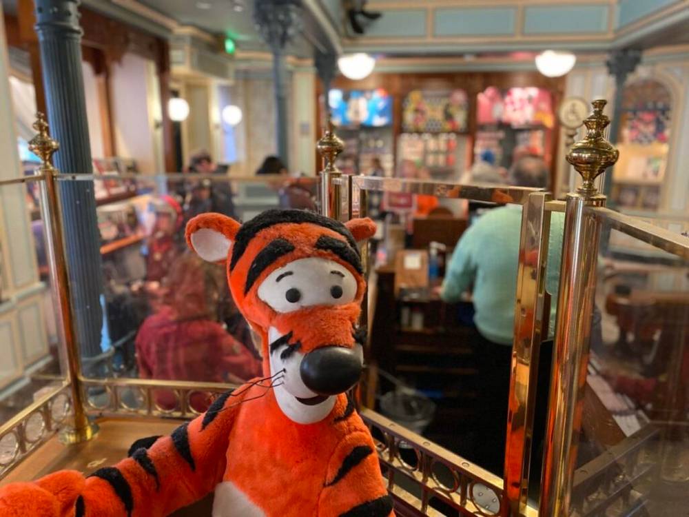 Un animal en peluche tigre se trouve dans une vitrine à la boutique du magasin de livres de contes.