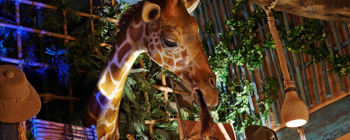 Une girafe se nourrissant de plantes dans une salle au thème rustique de Disneyland Paris avec un éclairage chaleureux et diverses décorations suspendues comme des chapeaux et des paniers.