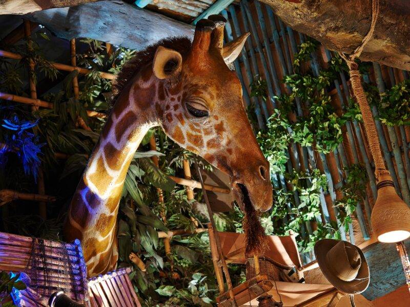 Une girafe se nourrissant de plantes dans une salle au thème rustique de Disneyland Paris avec un éclairage chaleureux et diverses décorations suspendues comme des chapeaux et des paniers.
