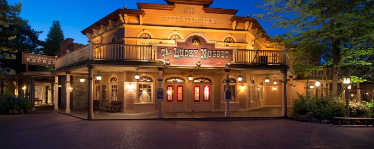 Découvrez l'ambiance magique de Disneyland Paris la nuit en entrant dans un monde d'enchantement et d'excitation. Plongez-vous dans l'atmosphère vibrante, illuminée par des lumières captivantes et des feux d'artifice spectaculaires