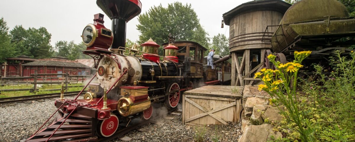 Un train de couleur rouge et noire circule sur une voie ferrée près de Disneyland Paris.